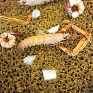 Zeevruchten paella